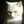 gatasp