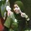 arsenalia wiendu