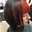DOUNIA NASSIB