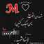 Batool AL hussin