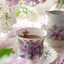Gania_Kitchen