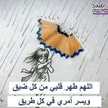 محمد محمود