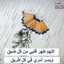 محمد محمود