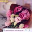 Aisha_z33