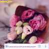 Aisha_z33