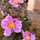 ceciliaM ceciliaM