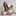 Andrea Moreno