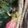 Anusree Goswami Anusree Goswami