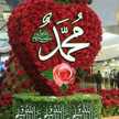 ammohamad