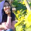 Lisya Haura