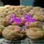 Happy Kitchen 