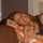 maria@ maria@
