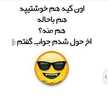 meysam afsorde