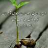 Ayesha Shahid