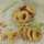 RaGHaD ReCiPes RaGHaD ReCiPes