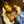 Nick_35745