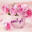 ﺷﻴﻒ ﺃﻡ ﺃﻧﺲ... اﻟﻤﻄﺒﺦ ﻭﻧﺲ ﻣﻊ ﺃﻡ ﺃﻧﺲ
