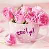 ﺷﻴﻒ ﺃﻡ ﺃﻧﺲ... اﻟﻤﻄﺒﺦ ﻭﻧﺲ ﻣﻊ ﺃﻡ ﺃﻧﺲ