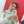مینا تازه عروس 💗🥰 مینا تازه عروس 💗🥰