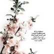 عطره ال عيسى