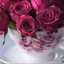 قناة يوم من عمرى asmaa