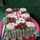 🌹Dapur Anitaa 🌹 🌹Dapur Anitaa 🌹
