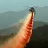 dragonslayer8166