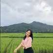 Wilaria