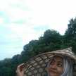 Shamim Julu