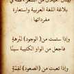bouchra haydi