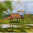 กระท่อมปลายนา