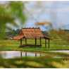 กระท่อมปลายนา
