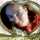 carriefuntime123