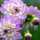 tanyawilliams13 tanyawilliams13