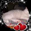 Lourdes Bernier Castrello