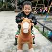 Listy Listiana