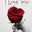 Maha Omar