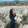 rosinindyana