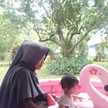 Ummu Shafiyya