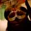 tralynn13j