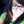 gaby.korsun