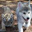 brandy.faunce