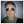 davidbyrne124