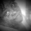 DeeDee5