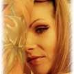 starbee