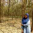 Rni Mrd
