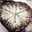 TiarAddicT