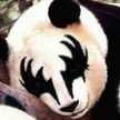 Panda.s