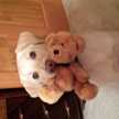 teddybear007
