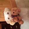 teddybear007